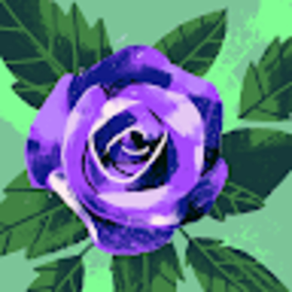 Meet your Posher, Anabella